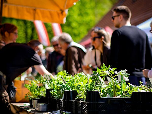Kräutermarkt Ein Marktstand mit Kräutertöpfen und im Hintergrund Menschen