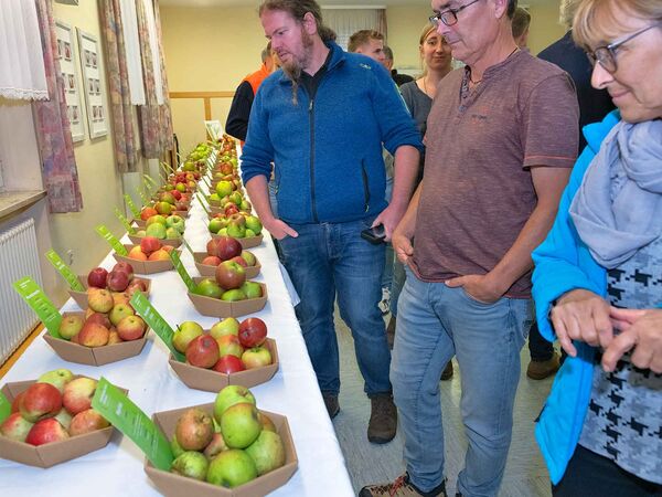 Besucher in der Obstsortenausstellung im Alten Rathaus Owingen-Billafingen, Kirchstraße 6, 88696 Owingen