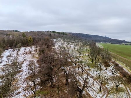 Luftaufnahme auf eine Lindenallee und Streuobstbäume im Herbst