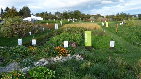 verschiedene bepflanzte Beete auf dem Überlinger Weltacker