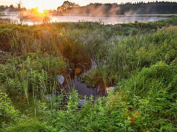 Der Heinz-Sielmann-Weiher im Ruhestetter Ried, Baden-Württemberg. Landschaftsaufnahme mit Weiher und Uferbewuchs.