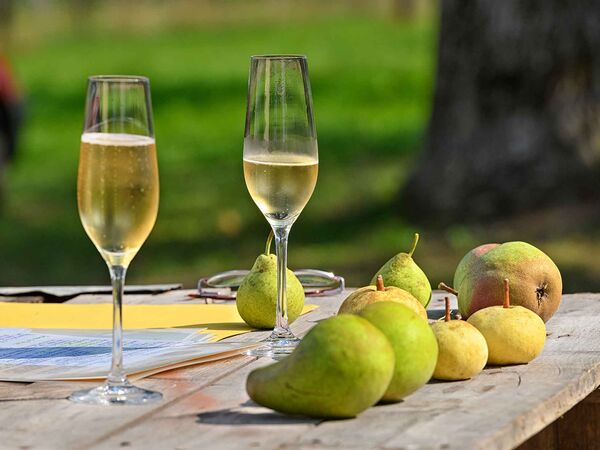 Sielmanns Biotopverbund Bodensee und Birnenerhaltungsgarten „Unterer Frickhof“ feiern Doppeljubiläum
