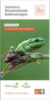 Flyer Tümpel für den Laubfrosch Titelmotiv Ein Laubfrosch sitzt auf einem Zweig mit Knospen