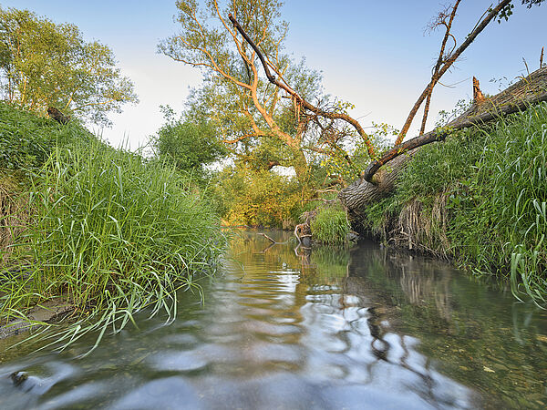 Der Fluss Nette mit Uferböschung an den Seiten