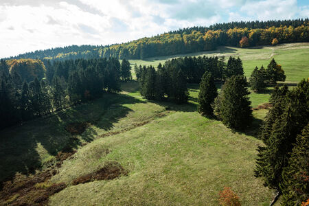 Bergwiese im Thüringer Wald