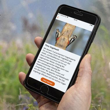 Die "Sielmann - Biodiversity App" macht einen Ausflug in die Döberitzer Heide zu einem informativen Naturerlebnis.