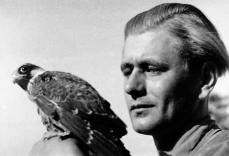 Nahaufnahme Heinz Sielmanns, auf seiner Hand sitzt ein Falke