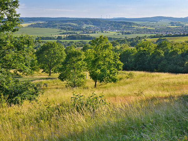 Das Grüne Band in Ecklingerode, einer Gemeinde im thüringischen Landkreis Eichsfeld. Landschaftsaufnahme des Grünen Bands in Thüringen.