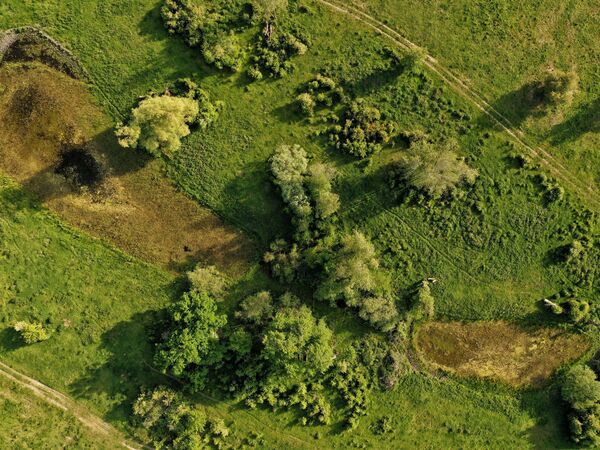 Kleingewässer Zwei Kleingewässer im Ferbitzer Bruch wachsen von den Seiten her mit Vegetation zu aufgrund von Wassermangel.
