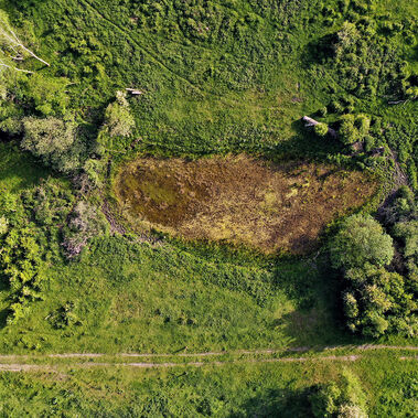 Ferbitzer Bruch Das Kleingewässer im Naturschutzgebiet Ferbitzer Bruch verlandet und trocknen zunehmend aus, daher ist es braun.