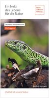 Flyer Biotopverbund Ostbayern Titelmotiv Grüne Zauneidechse sitzt auf einem Stamm von dem die Rinde abblättert