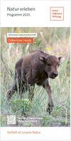 Flyer Programm 2025 in Sielmanns Naturlandschaft Döberitzer Heide DIN lang Flyer mit Wisentkalb auf dem Titelmotiv