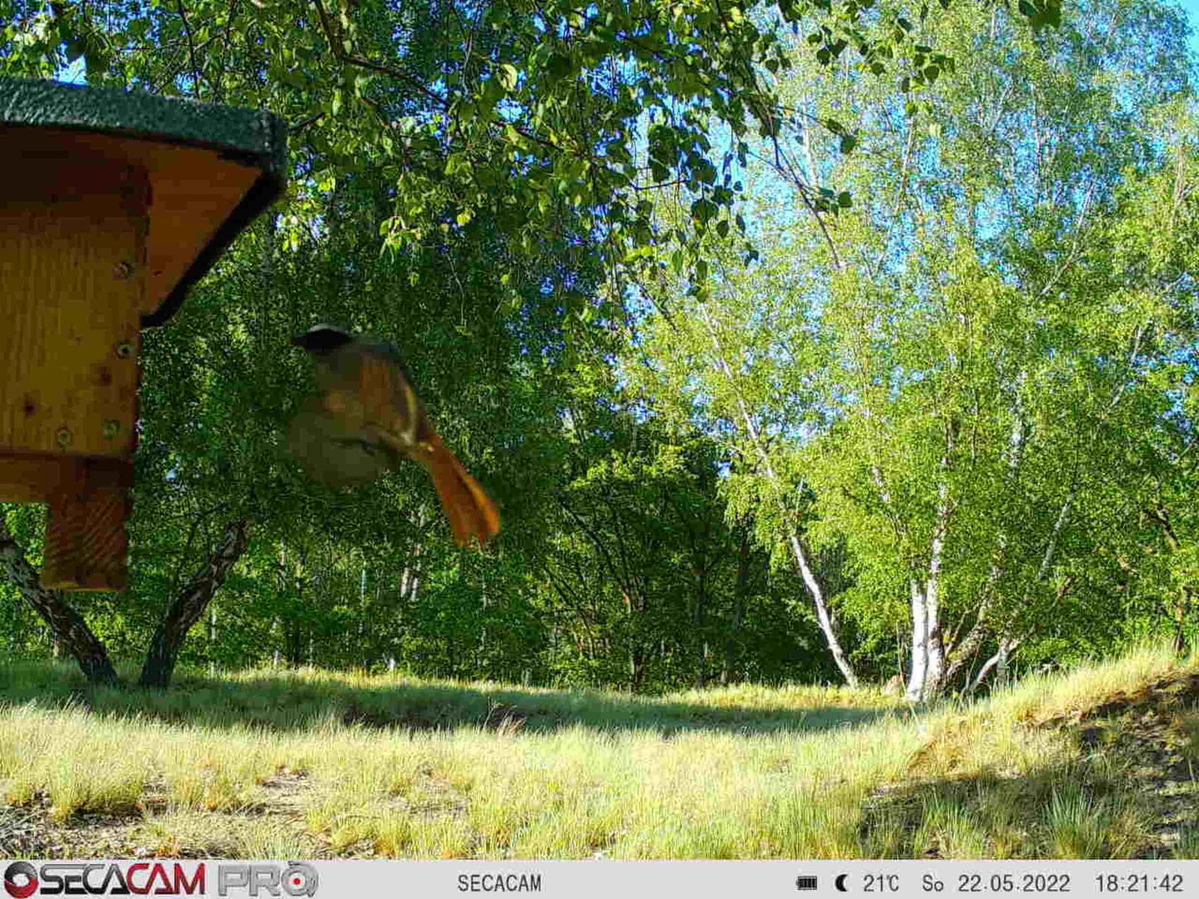 {nbase:fileProperty(propertyName: 'alternative', falId: {item})}