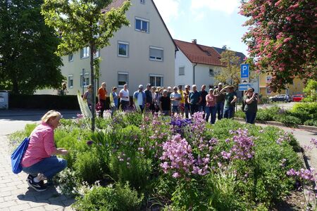 Eine Gruppe Menschen steht an einer Grünflächenbepflanzung 