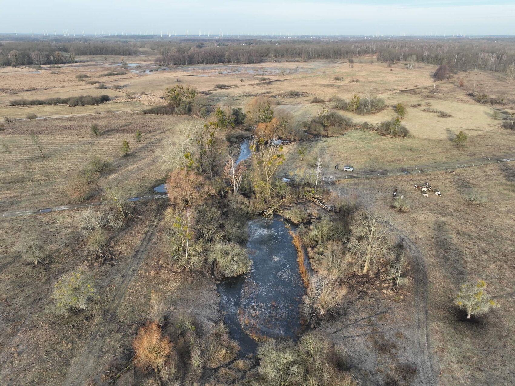 {nbase:fileProperty(propertyName: 'alternative', falId: {item})}