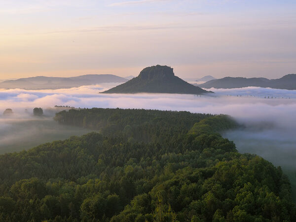 Elbsandstein, Sächsische Schweiz, Aussichtspunkt Kleiner Bärenstein, Nebel, Morgennebel,  Lilienstein, Naturwunderwahl 2023.