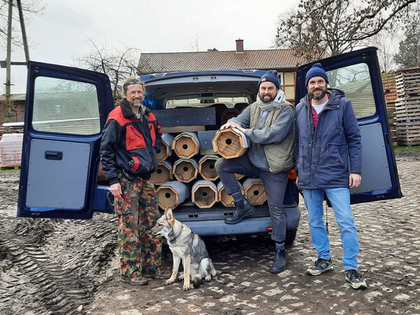 Nisthilfen_Wiedehopf Nisthilfen für Wiedehopfe