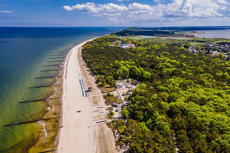 Heller Strandstreifen aus der Vogelperspektive, rechts umsäumt von Wald, links ist Meer