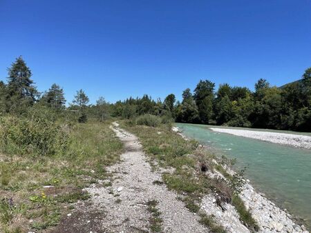 Ein Fluss mit einem bewachsenen, steinigen Ufer