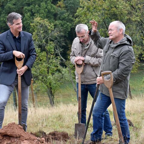 Firma Aeroxon beim Pflanzen neuer Streuobstbäume