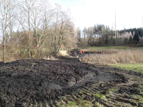 Bagger vertiefen den Schlauchweiher bei Wangen. Foto: Armin Woll Bagger vertiefen den Schlauchweiher bei Wangen. Foto: Armin Woll