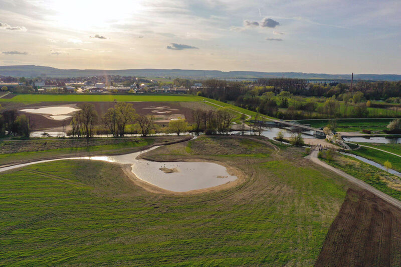 Stillgewässer im Biotop Flüthewehr mit Bäumen entlang des kleinen Flusses