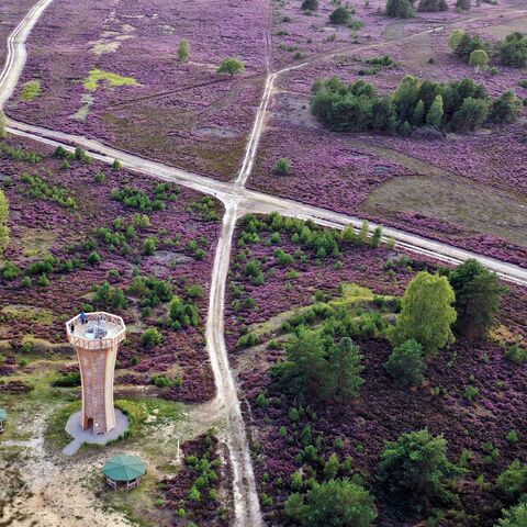 Drohnenaufnahme der Kyritz-Ruppiner Heide