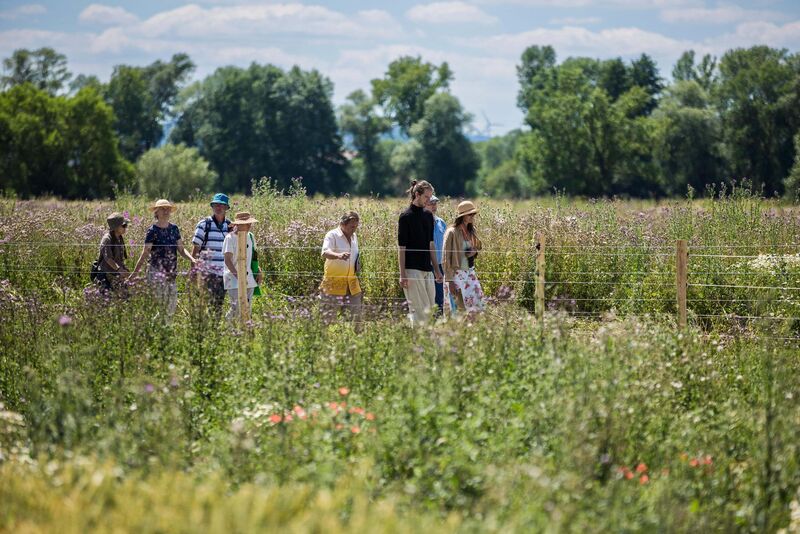 Einweihung Biotop-Landschaft am Flüthewehr in Göttingen