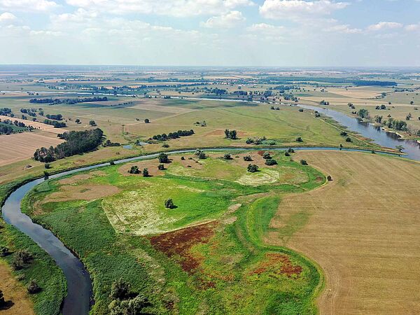 Zusammenfluss der beiden Flüsse Elbe und Schwarze Elster aus der Vogelperspektive. Im Vordergrund Grün- und Landwirtschaftsflächen. Im Hintergrund Horizont mit blauem Himmel und vereinzelten Wolken.