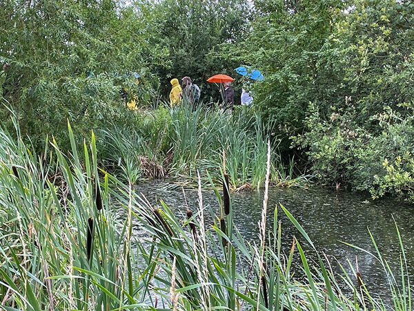 Trotz des regnerischen Wetters lassen sich Gäste und Naturinteressierte eine Führung um den Teich nicht entgehen. Teichpanorama