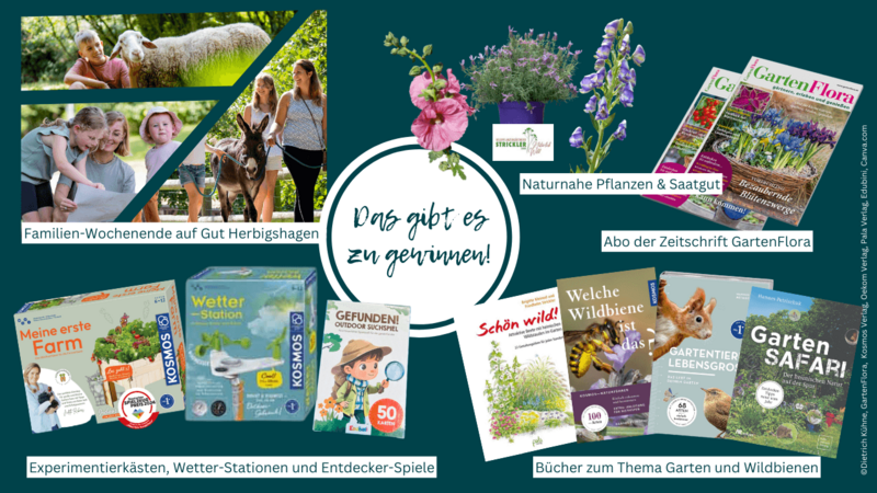 Eine Collage mit verschiedenen Gewinnspielpreisen, u.a. ein Wochenende auf einem Bauernhof, Bücher, Gutscheine für Pflanzen und Becherlupen.